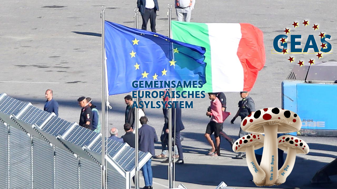 Im Schatten des Krieges